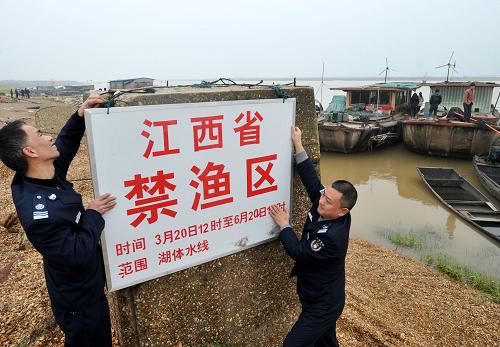3月19日,漁政執(zhí)法人員在鄱陽(yáng)湖朱港碼頭設(shè)立禁漁標(biāo)志牌。當(dāng)日,我國(guó)第一大淡水湖鄱陽(yáng)湖啟動(dòng)為期3個(gè)月的春季禁漁活動(dòng)。從3月20日至6月20日期間,在規(guī)定禁漁范圍內(nèi),禁止所有捕撈作業(yè),以及其他破壞漁業(yè)資源和漁業(yè)生態(tài)環(huán)境的活動(dòng)。新華社發(fā)(熊家福 攝)