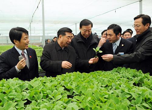 3月22日,國務(wù)院在江蘇徐州召開全國春季農(nóng)業(yè)生產(chǎn)工作會議,全面部署春耕生產(chǎn)和農(nóng)業(yè)農(nóng)村工作。中共中央政治局委員、國務(wù)院副總理回良玉出席會議并講話。這是會議召開前,回良玉在徐州市銅山區(qū)農(nóng)業(yè)科技創(chuàng)新試驗(yàn)示范基地考察。新華社記者 謝環(huán)馳 攝