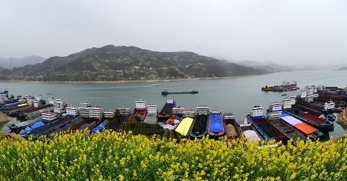 3月23日,船舶??吭谌龒{大壩上游沙灣錨地等待過閘,三峽庫區(qū)水位下降后的消落帶清晰可見。新華社發(fā)(鄭家裕 攝)