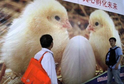 5月18日,觀眾在第十屆中國(guó)畜牧業(yè)展覽會(huì)上參觀。 當(dāng)日,為期3天的第十屆中國(guó)畜牧業(yè)展覽會(huì)在南京國(guó)際博覽中心開(kāi)幕。作為亞洲規(guī)模最大的畜牧業(yè)展會(huì)之一,此次展會(huì)吸引了我國(guó)及來(lái)自美國(guó)、德國(guó)、荷蘭、加拿大、澳大利亞、馬來(lái)西亞等20多個(gè)國(guó)家和地區(qū)的1200多家展商參展。 新華社發(fā)(董金林 攝)