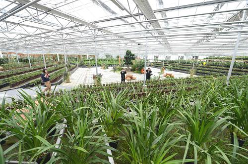 9月25日,游客在新近開放的北川維斯特農(nóng)業(yè)觀光園參觀。新華社記者 李曉果 攝