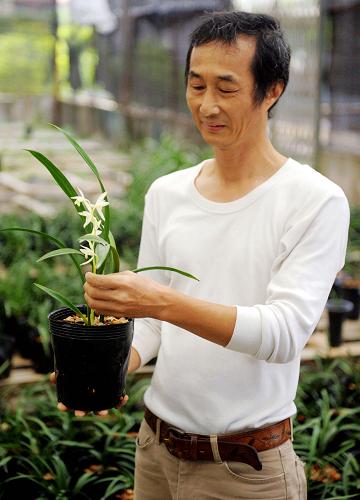 10月28日,臺灣農(nóng)民葉國斌在容縣祖立村立垌屯租用5畝土地培植蘭花。新華社記者 張愛林 攝