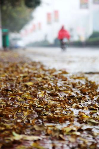 11月3日,行人在河南省安陽(yáng)市內(nèi)黃縣街頭冒雨出行。新華社發(fā)(劉肖坤 攝)