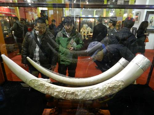 12月20日,在北京中國國際展覽中心,觀眾在第七屆中國北京國際文化創(chuàng)意產(chǎn)業(yè)博覽會上欣賞牙雕作品《群仙祝壽》。新華社發(fā)(王振 攝)