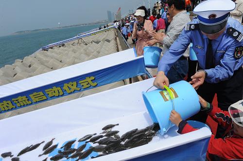 6月8日,人們?cè)谇鄭u奧帆中心參加增殖放流活動(dòng)。當(dāng)日,是第四個(gè)世界海洋日暨全國(guó)海洋宣傳日,青島市舉行2013海洋漁業(yè)增殖放流活動(dòng),愛(ài)心認(rèn)購(gòu)企業(yè)和志愿者代表共同將200萬(wàn)尾優(yōu)質(zhì)苗種投放入海。據(jù)介紹,2013青島市將放流日本對(duì)蝦、魁蚶、金烏賊、牙鲆、梭子蟹、鰱鳙魚等9個(gè)品種、合計(jì)55780萬(wàn)單位。新華社記者 李紫恒 攝