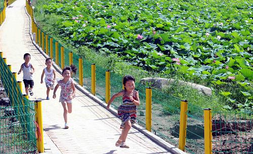 8月17日,孩子們?cè)跐竦毓珗@內(nèi)玩耍。河北省香河縣充分利用潮白河濕地生態(tài)環(huán)境,圍繞“賞蓮采荷體驗(yàn)、生態(tài)濕地保護(hù)、休閑景觀文化”核心內(nèi)容,通過對(duì)河道的清淤擴(kuò)挖、土壤改良等方法,栽植萬余株優(yōu)質(zhì)樹種,同時(shí)結(jié)合潮白河土質(zhì)、水質(zhì)的生態(tài)特點(diǎn),選育十余種荷花60余萬芽,打造了一條集環(huán)湖游道、親水平臺(tái)、荷花文化走廊為一體的生態(tài)濕地公園,為居民提供休閑娛樂的場(chǎng)所。新華社記者 李曉果 攝