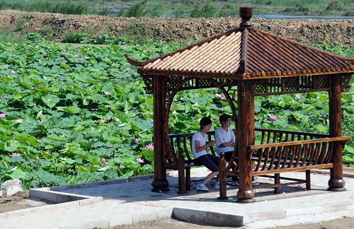 8月17日,游人在濕地公園的湖心亭內(nèi)觀賞風(fēng)景。新華社記者 李曉果 攝