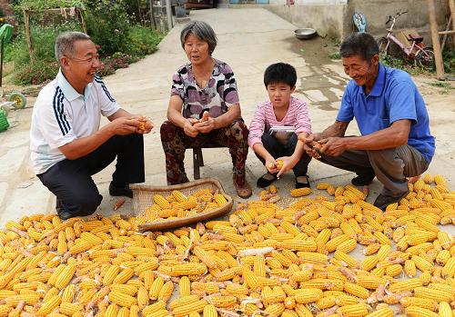 9月4日,張偉(左一)到留守學(xué)生房鑫怡(右二)的家中家訪,與房鑫怡的爺爺、奶奶一起拉家常。新華社發(fā)(董乃德 攝)