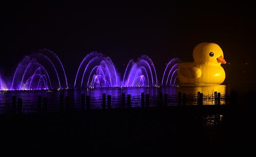 9月6日晚,大黃鴨在園博湖夜游,配合燈光的照射,與園博園夜場的音樂水舞秀節(jié)目相映成趣。新華社記者 李鑫 攝