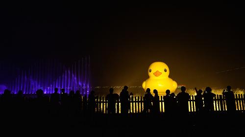 9月6日晚,大黃鴨在園博湖夜游,配合燈光的照射,與園博園夜場的音樂水舞秀節(jié)目相映成趣。新華社記者 李鑫 攝