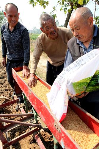 10月7日,在安徽省亳州市譙城區(qū)趙橋鄉(xiāng)王寨村,農(nóng)民用播種機(jī)進(jìn)行小麥播種。新華社發(fā)(劉勤利 攝)