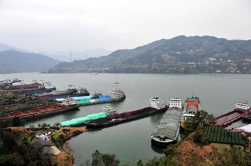 11月11日,大批船舶??吭谌龒{大壩上游湖北省秭歸縣沙灣水域等待過閘。當(dāng)日14時(shí),三峽水庫(kù)第四次成功試驗(yàn)性蓄水至175米水位,蓄水過程平穩(wěn)順利。三峽工程2013年175米試驗(yàn)性蓄水于9月10日在前期調(diào)洪的基礎(chǔ)上開始,對(duì)應(yīng)的水位為156.69米,經(jīng)過2個(gè)多月調(diào)蓄順利實(shí)現(xiàn)了175米試驗(yàn)性蓄水目標(biāo)。新華社發(fā)(王輝富 攝)