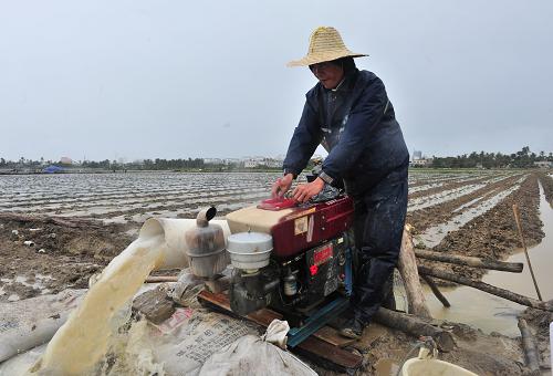 12月16日,萬城鎮(zhèn)一位農(nóng)民在地里抽水。12月13日以來,海南省萬寧市出現(xiàn)強(qiáng)降雨,13.2萬畝農(nóng)作物受災(zāi),經(jīng)濟(jì)損失達(dá)4.5億元。災(zāi)情發(fā)生后,萬寧市發(fā)動群眾盡快補(bǔ)種,并派出農(nóng)業(yè)技術(shù)專家指導(dǎo)群眾恢復(fù)生產(chǎn)。新華社記者 張永峰 攝