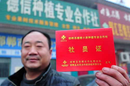 12月25日,河北省邯鄲縣德信小麥種植專業(yè)合作社社員在向記者展示社員證。 近年來(lái),河北省邯鄲縣通過(guò)扶持農(nóng)業(yè)專業(yè)合作社,建立并完善“農(nóng)民專業(yè)合作社+基地+農(nóng)戶”的新型產(chǎn)業(yè)化經(jīng)營(yíng)模式。專業(yè)合作社除了為農(nóng)戶提供苗種供應(yīng)外,還提供從技術(shù)指導(dǎo)到市場(chǎng)銷售的一條龍服務(wù)。 同時(shí),合作社與超市實(shí)行“農(nóng)超對(duì)接”,農(nóng)產(chǎn)品可直接進(jìn)入超市銷售。目前,邯鄲縣在工商部門(mén)登記注冊(cè)的農(nóng)民專業(yè)合作社達(dá)40家,社員4500余戶,合作社成員戶均年純收入約1.8萬(wàn)元,同時(shí)輻射帶動(dòng)3萬(wàn)余農(nóng)戶增收。新華社記者 朱旭東 攝