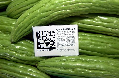 有可溯源二維碼標(biāo)識(shí)的苦瓜(5月10日攝)。新華社記者 侯建森 攝