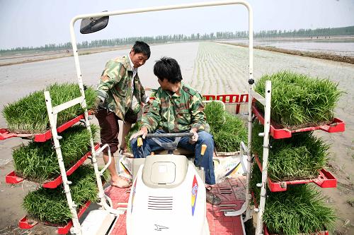 5月11日,新型插秧機在天津市寧河縣東棘坨鎮(zhèn)農(nóng)田作業(yè)。新華社發(fā)(任麗華 攝)