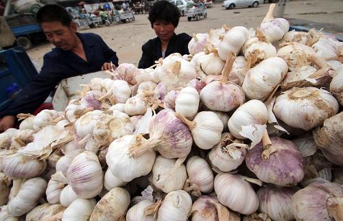 6月19日,在山東省臨沂市郯城縣一家農(nóng)貿(mào)市場(chǎng),商戶在整理大蒜。新華社發(fā)(張春雷 攝)