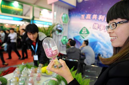 9月20日,觀眾在中國農(nóng)業(yè)科學(xué)院蔬菜花卉研究所展臺(tái)參觀。當(dāng)日,第十九屆北京種子大會(huì)在北京市豐臺(tái)區(qū)開幕。本屆大會(huì)共有來自國內(nèi)各省市800余家育種企業(yè)和科研機(jī)構(gòu)及部分境外種業(yè)機(jī)構(gòu)參會(huì),展示約2000個(gè)農(nóng)產(chǎn)品新優(yōu)品種。新華社記者 張旭 攝