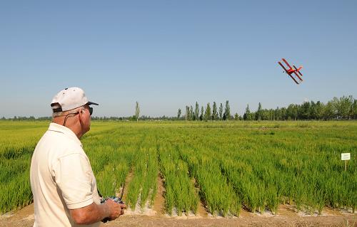8月2日,在寧夏墾區(qū)靈武農(nóng)場,工作人員控制無人機對水稻噴灑農(nóng)藥。新華社記者 李然 攝