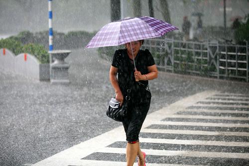 8月9日,市民冒著大雨走在南京街頭。新華社發(fā)(王新 攝)