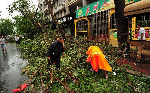 10月28日,工作人員在路邊清理被吹倒的樹(shù)木。新華社記者 侯建森 攝