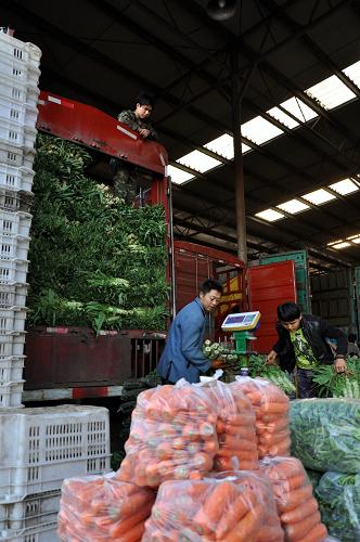 10月30日,在太原市河西農產品批發(fā)市場,菜販在采購時令蔬菜。新華社記者 王飛航 攝