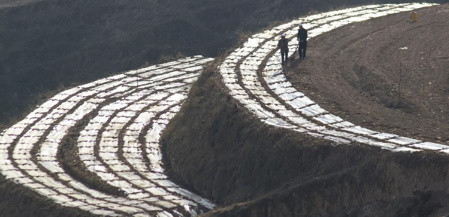 11月21日,甘肅省臨夏回族自治州永靖縣川城鎮(zhèn)農(nóng)民在田間覆膜保墑。新華社發(fā)(史有東 攝)