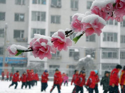 12月3日,吉林省吉林市船營區(qū)松江實驗小學(xué)學(xué)生在操場上玩雪。新華社發(fā)