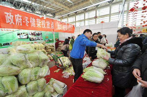 1月21日,在銀川舉行的新春年貨購物節(jié)上,顧客在選購政府投放的冬季儲(chǔ)備菜。近日,在寧夏回族自治區(qū)銀川市開幕的2013新春年貨購物節(jié)上,銀川市政府投放的冬季儲(chǔ)備菜悄然現(xiàn)身,并受到觀展者的熱捧,大白菜、馬鈴薯、青蘿卜等蔬菜紛紛遭遇“搶購”,據(jù)了解,本次年貨展會(huì)期間投放了近千噸儲(chǔ)備蔬菜,投放價(jià)格比每周同品質(zhì)同品種農(nóng)貿(mào)市場蔬菜平均價(jià)格低15%。新華社記者 彭昭之 攝