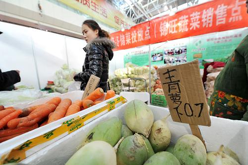 1月21日,在銀川舉行的新春年貨購物節(jié)上,政府投放的儲(chǔ)備青蘿卜價(jià)格為0.7元每斤,低于市場價(jià)格。新華社記者 彭昭之 攝