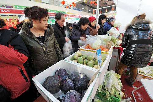 1月21日,在銀川舉行的新春年貨購物節(jié)上,顧客在選購政府投放的冬季儲(chǔ)備菜。新華社記者 彭昭之 攝