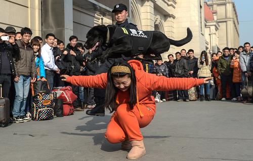 1月25日,旅客在與警犬進(jìn)行互動(dòng)。當(dāng)日,武漢鐵路警方在武漢各大火車站舉行以“溫暖回家路,平安伴你行”為主題的警營(yíng)開(kāi)放日活動(dòng),向旅客展示各種警用裝備,介紹安全乘車知識(shí),與旅客進(jìn)行互動(dòng),聽(tīng)取旅客反映情況,增強(qiáng)群眾防范意識(shí),力保春運(yùn)安全。新華社記者 程敏 攝