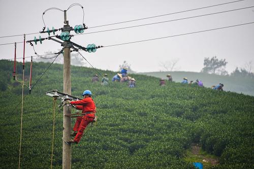 3月20日,安吉縣天子湖供配電營(yíng)業(yè)所的電力工人為古城村毛草坑茶園的低壓供電線路進(jìn)行檢修、擴(kuò)容。進(jìn)入3月下旬,浙江省安吉縣的白茶進(jìn)入采摘期,茶農(nóng)們開(kāi)始了一年里最忙碌的季節(jié)。安吉縣天子湖供配電營(yíng)業(yè)所轄區(qū)白茶2400多畝,茶農(nóng)3500多戶。今春以來(lái),當(dāng)?shù)毓╇姴块T已為茶農(nóng)新增變壓器12臺(tái),改造、增設(shè)多條線路,為茶農(nóng)炒茶用電做好服務(wù)。新華社記者 徐昱 攝