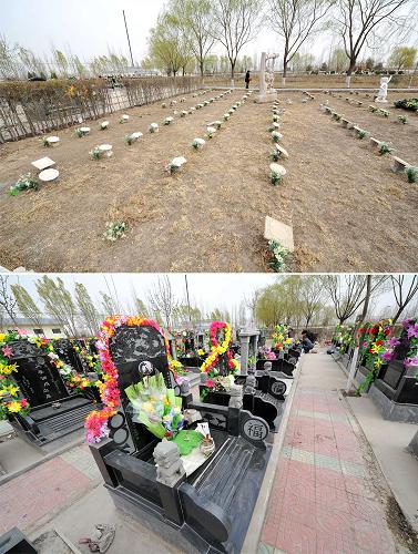 上圖:銀川市福壽陵園近年來(lái)推出的99元生態(tài)節(jié)地墓地;下圖:銀川市福壽陵園內(nèi)的傳統(tǒng)墓區(qū)。 又到一年清明時(shí),各地陵園紛紛迎來(lái)祭掃高峰。記者在采訪中發(fā)現(xiàn),不少陵園推出低價(jià)墓和免費(fèi)墓等環(huán)保節(jié)地和服務(wù)城市特殊群體的特色墓地,但在寧夏、浙江等地,這些“低價(jià)墓”遭遇“滑鐵盧”,銷(xiāo)售遇冷。 在寧夏銀川市,近年來(lái),一些陵園推出99元生態(tài)墓、樹(shù)葬、草坪葬和免費(fèi)墓葬等一系列環(huán)保優(yōu)惠墓地,但一直以來(lái)很少有人購(gòu)買(mǎi)、使用。記者在銀川市福壽陵園看到,200個(gè)占地面積很小的99元生態(tài)墓整齊排列,松柏環(huán)繞。但就是這個(gè)環(huán)境不錯(cuò)的區(qū)域,兩年來(lái)僅4日售出其中一座。問(wèn)及遇冷原因,陵園工作人員稱(chēng),“顧客都嫌不氣派”。 在采訪中,一位姓鄭的女士表示,低價(jià)墓地確實(shí)讓他們?cè)谶x購(gòu)墓地時(shí)有了短暫的驚喜,但考慮再三,他們還是決定給逝去的老人選購(gòu)了一塊上萬(wàn)元的高價(jià)墓地,希望以此讓老人走得體面。 本來(lái)為減輕很多家庭的喪葬負(fù)擔(dān)而推出的“保障墓”,因?yàn)椴荒茉鎏硖摌s、風(fēng)光和“孝臉”而閑置。如果想盡一份心,當(dāng)于逝者生前善待之,何必一窩蜂扎堆瘋搶高價(jià)墓,以此來(lái)安慰自己?新華社記者 彭昭之 攝