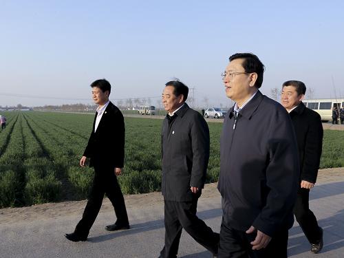 4月15日至17日,中共中央政治局常委、全國人大常委會委員長張德江在山東調(diào)研。這是4月16日,張德江在淄博市桓臺縣唐山鎮(zhèn)小麥高產(chǎn)示范田考察。新華社記者 丁林 攝