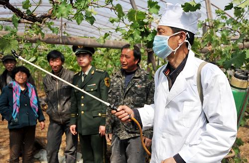 4月20日,遼寧營口邊防支隊(duì)開發(fā)區(qū)邊防大隊(duì)邀請高級農(nóng)技師汪興濤(右一)深入遼寧省重要葡萄產(chǎn)地——蓋州市熊岳鎮(zhèn)葡萄種植園區(qū)向果農(nóng)講解噴灑農(nóng)藥及病蟲防治等科技知識(shí)。近日,我國北方地區(qū)氣溫普遍偏低,部分地區(qū)甚至出現(xiàn)大范圍的雨雪天氣。為有效降低“倒春寒”天氣給農(nóng)業(yè)生產(chǎn)帶來的不利影響,營口市邊防支隊(duì)開發(fā)區(qū)大隊(duì)邀請駐地農(nóng)技部門工作人員深入轄區(qū)葡萄生產(chǎn)基地向種植戶傳授葡萄種植、病蟲防治等科技興農(nóng)知識(shí),提高種植戶應(yīng)對“倒春寒”天氣的能力。據(jù)悉,營口市下轄的蓋州市熊岳鎮(zhèn)是遼寧省重要葡萄產(chǎn)地之一,葡萄種植是該鎮(zhèn)重要支柱性產(chǎn)業(yè)。新華社發(fā)(王朝輝 攝) 4月20日,遼寧營口邊防支隊(duì)開發(fā)區(qū)邊防大隊(duì)邀請高級農(nóng)技師汪興