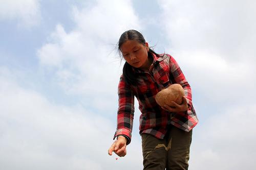 5月27日,河南省安陽(yáng)市內(nèi)黃縣城關(guān)鎮(zhèn)農(nóng)民在田間播種玉米。新華社發(fā)(劉肖坤 攝)