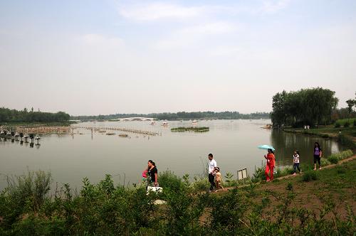 6月11日,游客在北京南海子公園游玩。新華社發(fā)(王振 攝)