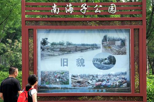 6月11日,游客在北京南海子公園宣傳櫥窗前觀看公園舊貌。新華社發(fā)(王振 攝)