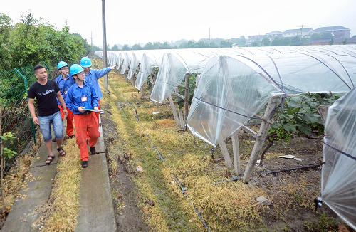 6月14日,電力員工在德清縣雷甸鎮(zhèn)種植基地巡檢低壓線路。近期,江南地區(qū)的連日雨水給瓜果種植業(yè)帶來(lái)不少影響,農(nóng)田排水用電顯得尤為重要。浙江省德清縣供電企業(yè)派出多支黨員服務(wù)隊(duì)到種植場(chǎng)實(shí)地掌握生產(chǎn)情況,為種植戶檢修低壓線路和用電設(shè)施,指導(dǎo)農(nóng)戶科學(xué)安全用電,有效應(yīng)對(duì)多雨天氣。新華社記者 徐昱攝