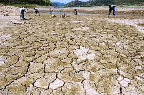 浙江省新昌縣的幾位農(nóng)民在當(dāng)?shù)匾粭l因大旱而干涸見底的河床上揀垃圾(8月15日攝)。新華社記者 譚進(jìn) 攝