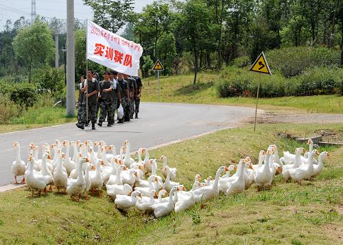 8月20日,實訓隊員在蔬菜生產區(qū)干完農活后,列隊行走在農業(yè)園區(qū)的道路上。新華社記者 孫參 攝