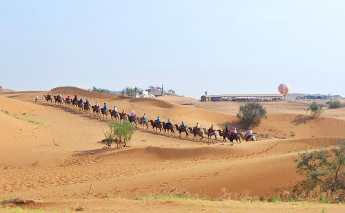 游客在寧夏中衛(wèi)市沙坡頭景區(qū)游玩(8月22日攝)。目前,中衛(wèi)沙漠旅游每年接待的游客人數(shù)超過100萬人次,帶來綜合收入超過4億元。新華社記者 王全超 攝