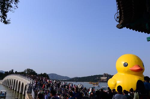10月7日,游客在北京頤和園內(nèi)觀賞由荷蘭藝術(shù)家弗洛倫泰因·霍夫曼設(shè)計的大黃鴨。當(dāng)日,全國假日旅游部際協(xié)調(diào)會議辦公室通報顯示,國慶黃金周期間全國納入監(jiān)測的125個直報旅游城市和景區(qū)點共接待游客3124.51萬人次,同比增長6.8%;累計門票收入16.6億元,同比增長10.33%。新華社記者 尹棟遜 攝