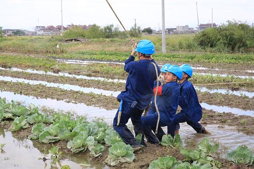 10月8日,國(guó)網(wǎng)臨安市供電公司的搶修隊(duì)員在積水的田中作業(yè)。新華社發(fā)(郭芳 攝)