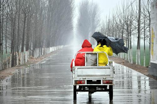 11月24日,在山東省聊城市茌平縣賈寨鎮(zhèn),人們冒雨出行。新華社發(fā)(趙玉國(guó) 攝)