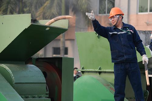 1月6日,工作人員將一根象牙投入粉碎機。新華社記者 李鑫 攝