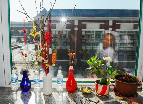 2月27日,長春市太陽山部落醫(yī)療康復護理院的護理員在幫助老人擺放窗邊的盆栽。新華社記者 許暢 攝