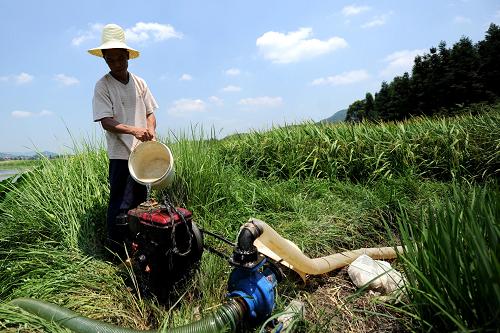 8月7日,江西新余市分宜縣操場鄉(xiāng)太湖村坪屋村小組41歲的農(nóng)民劉傳生在給干涸的稻田抽水澆灌。新華社記者 周科 攝