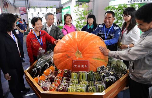 9月23日,在第八屆中國遼寧(沈陽)國際農(nóng)業(yè)博覽會(huì)上,參觀者在一個(gè)大型“太空南瓜”前駐足。新華社發(fā)(萬重 攝)